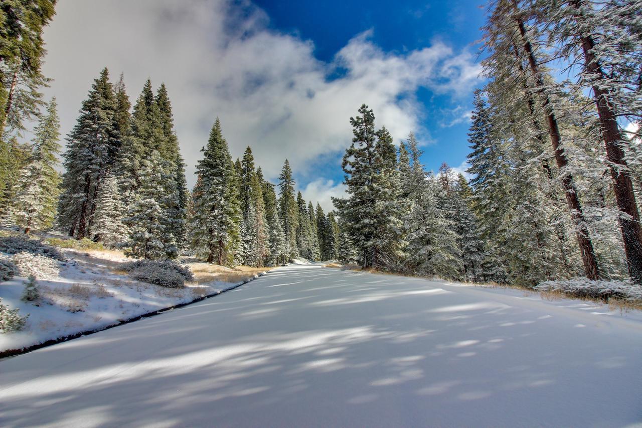 New England Cottage Shaver Lake Ngoại thất bức ảnh